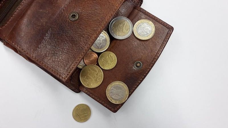 Travel Wallet